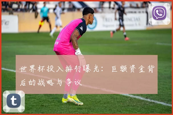 世界杯投入排行曝光：巨额资金背后的战略与争议