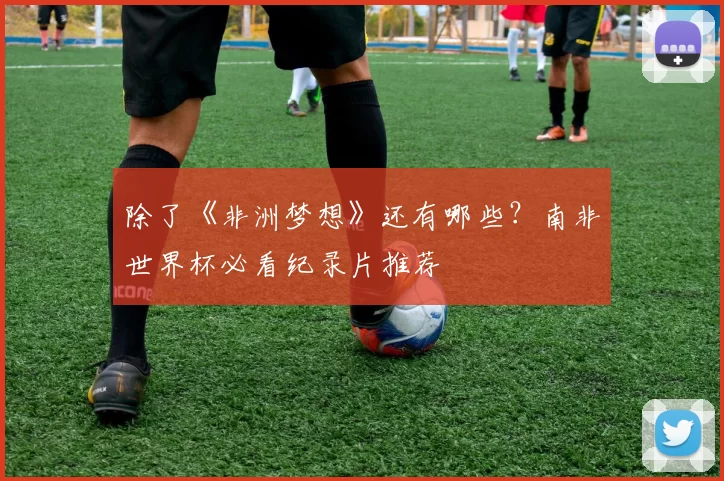 除了《非洲梦想》还有哪些？南非世界杯必看纪录片推荐