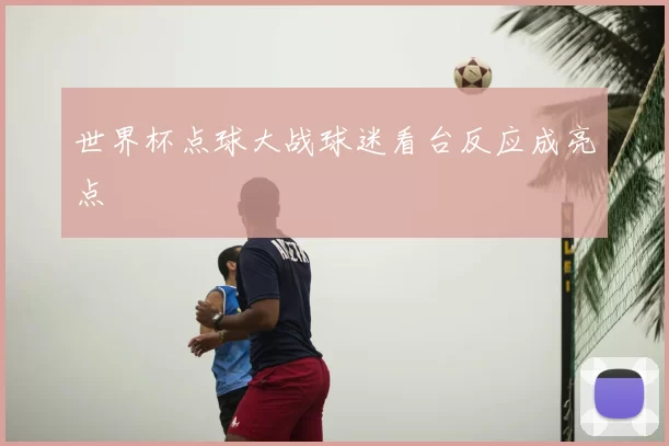 世界杯点球大战球迷看台反应成亮点