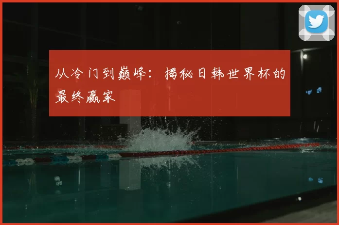 从冷门到巅峰：揭秘日韩世界杯的最终赢家