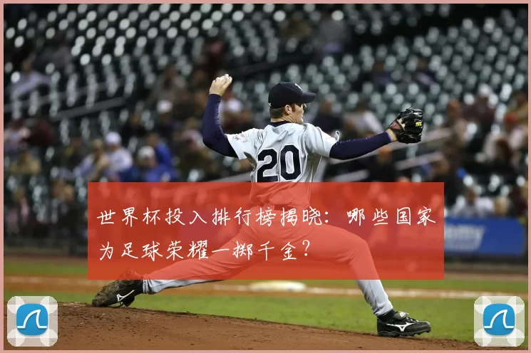 世界杯投入排行榜揭晓:哪些国家为足球荣耀一掷千金?