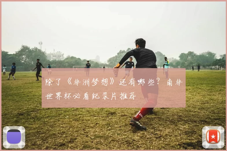 除了《非洲梦想》还有哪些？南非世界杯必看纪录片推荐