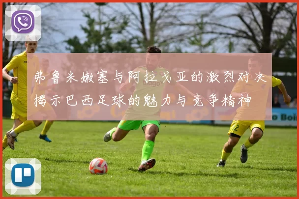 弗鲁米嫩塞与阿拉戈亚的激烈对决揭示巴西足球的魅力与竞争精神