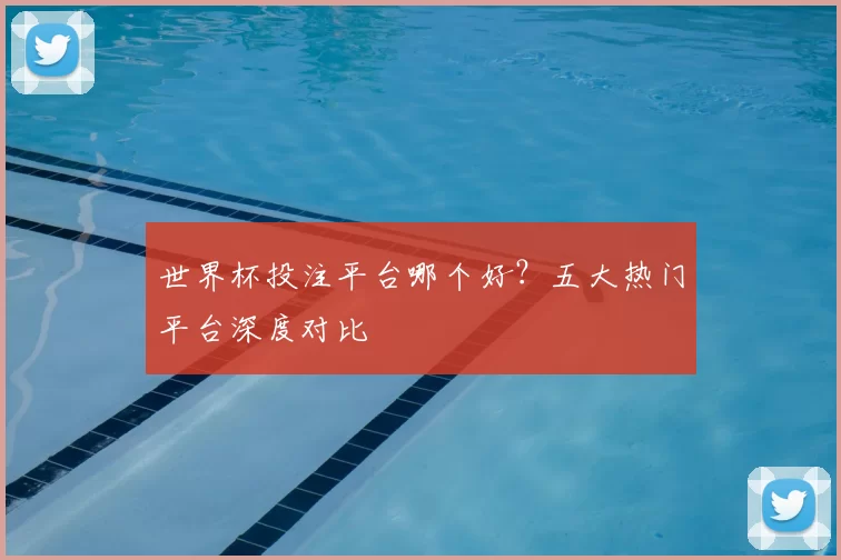 世界杯投注平台哪个好？五大热门平台深度对比