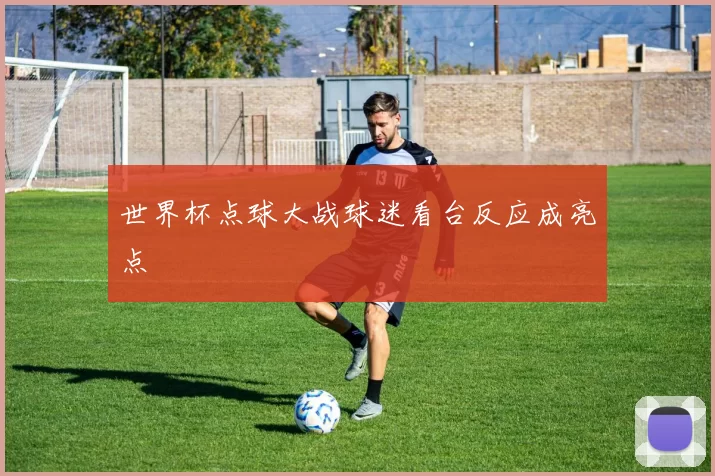 世界杯点球大战球迷看台反应成亮点