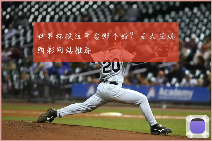 世界杯投注平台哪个好？五大正规购彩网站推荐