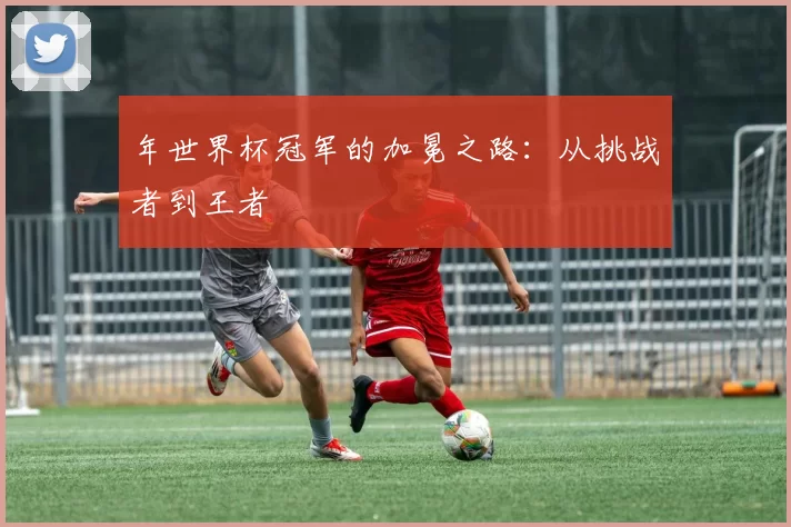 年世界杯冠军的加冕之路:从挑战者到王者