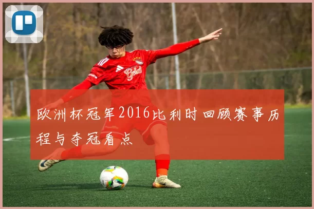 欧洲杯冠军2016比利时回顾赛事历程与夺冠看点