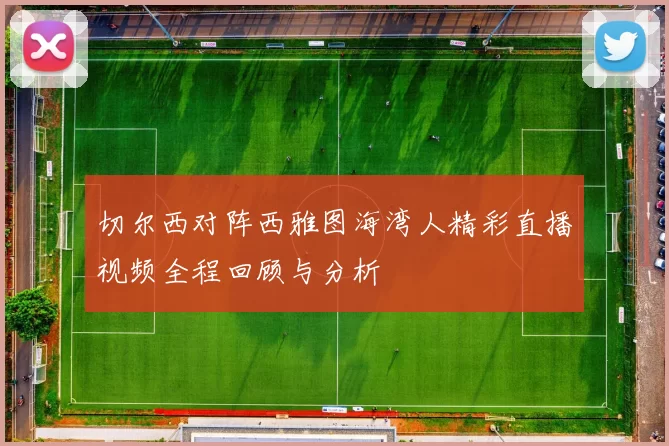 切尔西对阵西雅图海湾人精彩直播视频全程回顾与分析