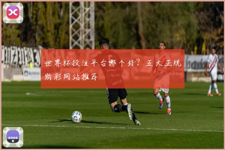 世界杯投注平台哪个好？五大正规购彩网站推荐