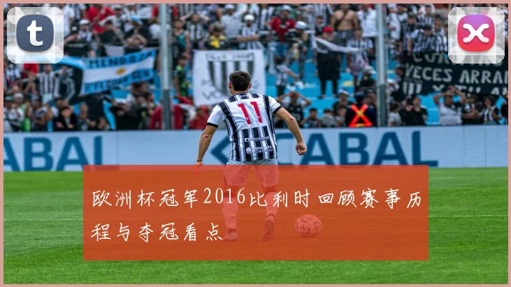 欧洲杯冠军2016比利时回顾赛事历程与夺冠看点